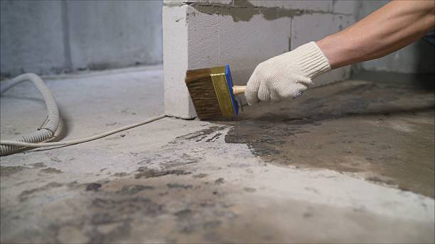 SJ Waterproofing Pros Waterproofing coverage map for Montrose, MN and surrounding area